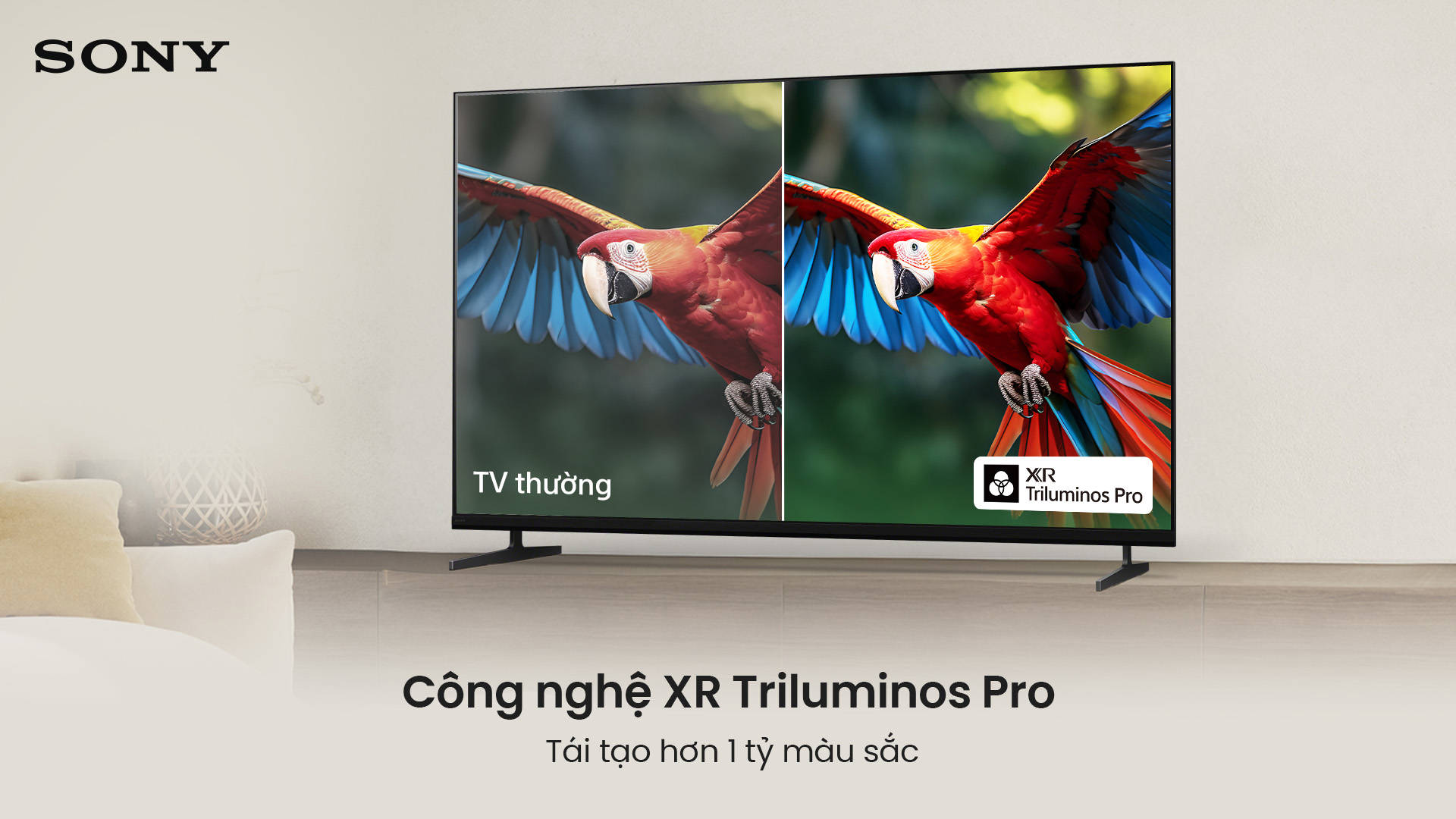 Công nghệ màu sắc XR Triluminos Pro và XR Clear Image
